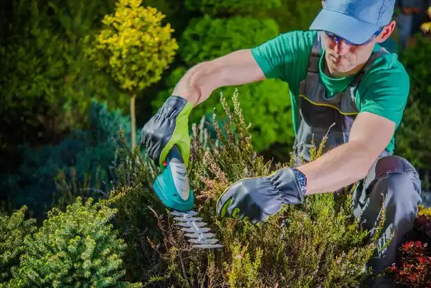 landscaping services Batavia